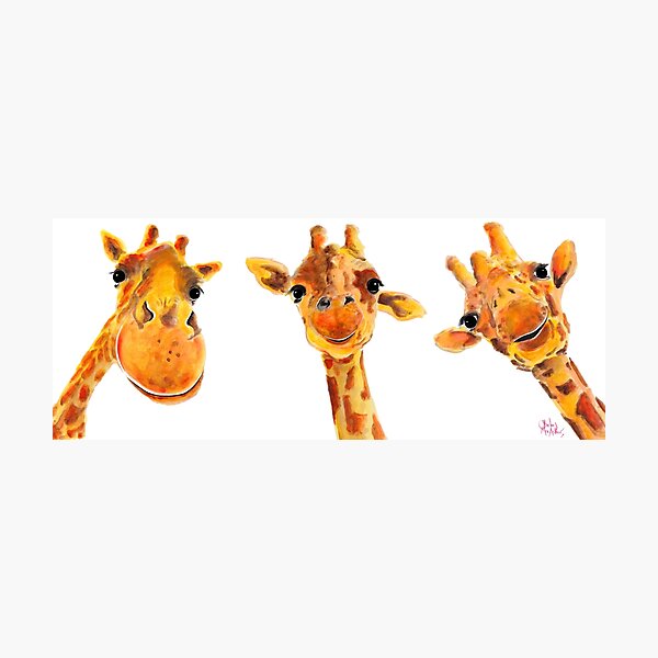 GiRaFFe Zoo ANiMaL PRiNTS ' FRieNDS ' BY SHiRLeY MaCARTHuR Photographic Print