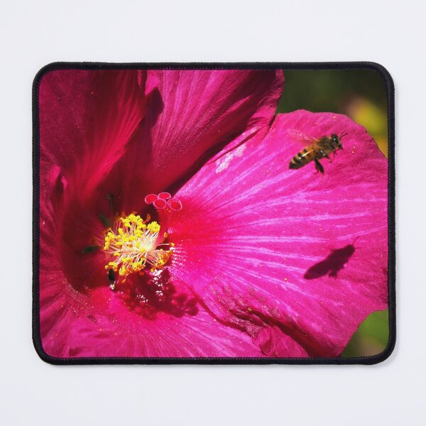 Item preview, Hibiscus and Bee designed and sold by migawadesign.