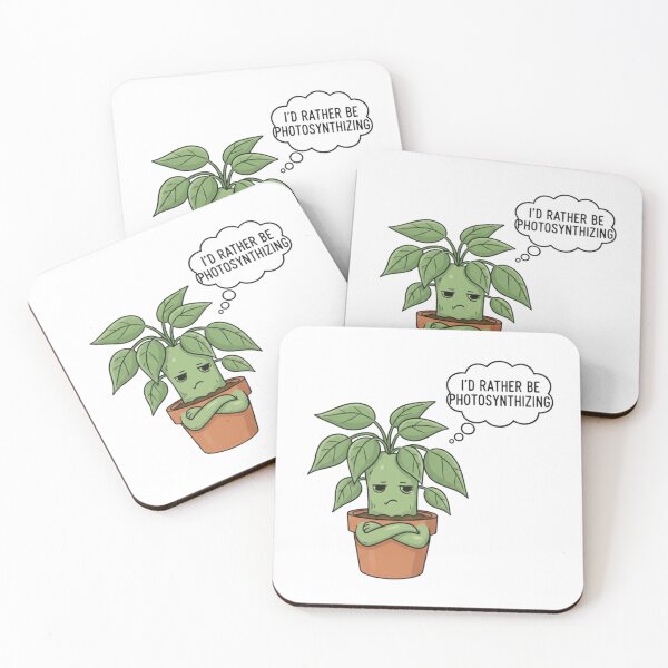 Item preview, Plant designed and sold by Letter & Petal.