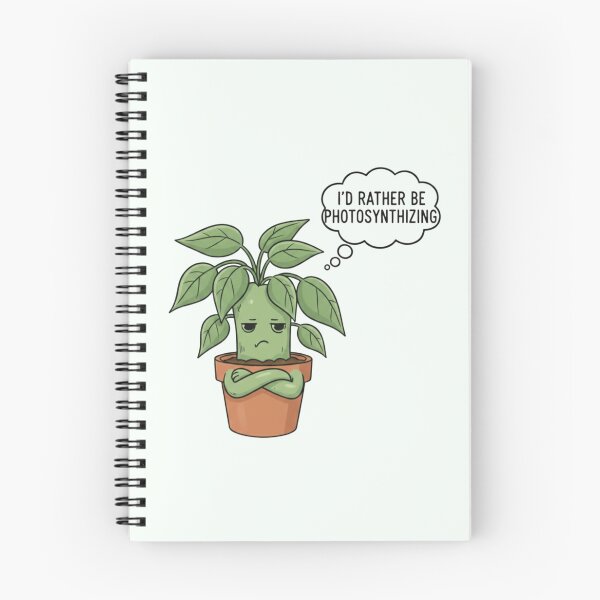 Item preview, Plant designed and sold by Letter & Petal.