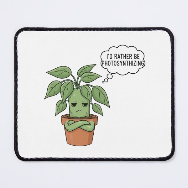 Item preview, Plant designed and sold by Letter & Petal.