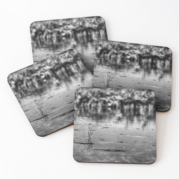 Item preview, Salicornia B&W designed and sold by NunoPires.