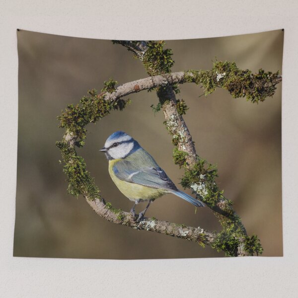 Item preview, Blue Tit Framed designed and sold by Alec Stewart.