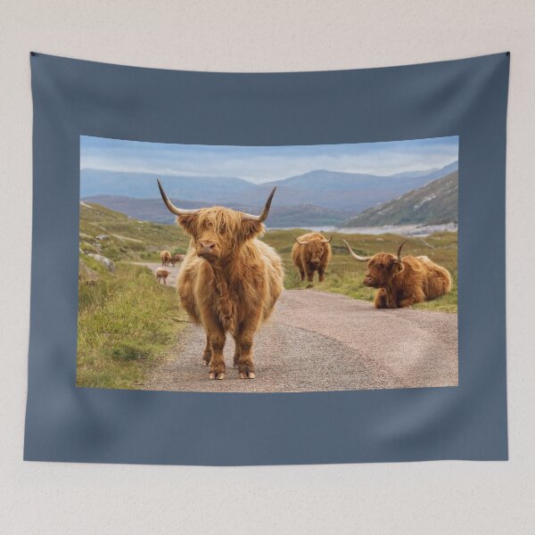 Item preview, Highland Cow Road Block Glen Garry Scotland. designed and sold by PhotosEcosse.