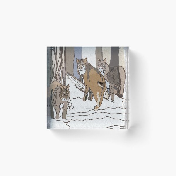 Item preview, Three Bobcats in the Snowy Woods designed and sold by kristalcurt.