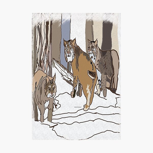 Item preview, Three Bobcats in the Snowy Woods designed and sold by kristalcurt.