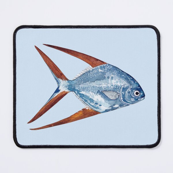 Item preview, GAFFTOPSAIL POMPANO-Trachinotus rhodopus designed and sold by BEATRIZ ABAITUA.