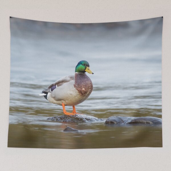 Item preview, Mallard designed and sold by Alec Stewart.