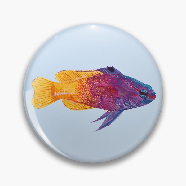 Item preview, FAIRY BASSLEY OR ROYAL GRAMMA-Gramma loreto-CB designed and sold by BEATRIZ ABAITUA.
