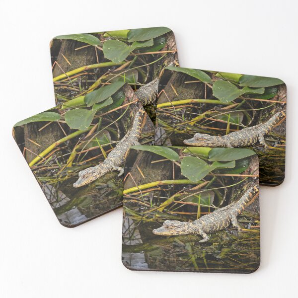Item preview, Baby alligator designed and sold by Alex Preiss.