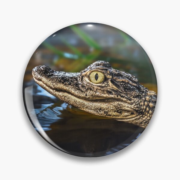 Item preview, Baby alligator 2 designed and sold by Alex Preiss.