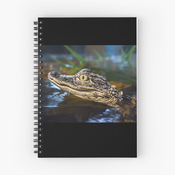 Item preview, Baby alligator 2 designed and sold by Alex Preiss.