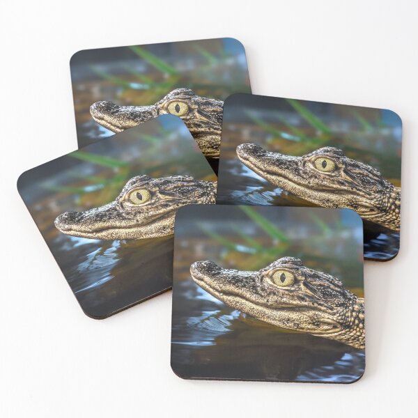 Item preview, Baby alligator 2 designed and sold by Alex Preiss.