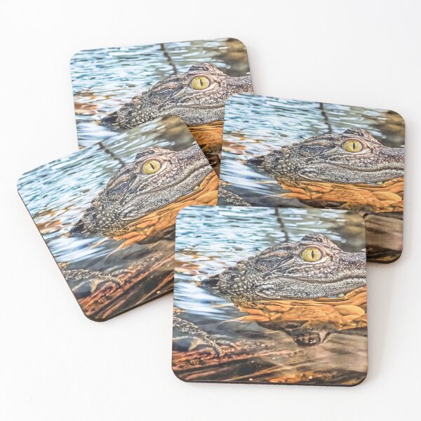 Item preview, Baby alligator 3 designed and sold by Alex Preiss.