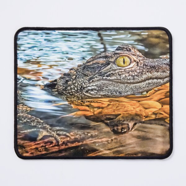 Item preview, Baby alligator 3 designed and sold by Alex Preiss.