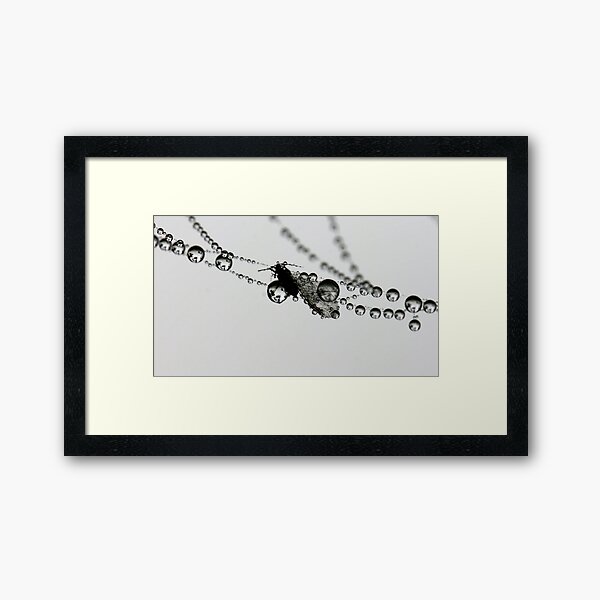 In suspension Framed Art Print