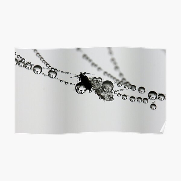 In suspension Poster