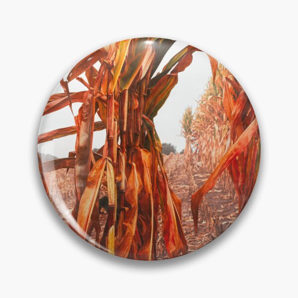 Item preview, Cornstalk Passageway designed and sold by Jim Love.