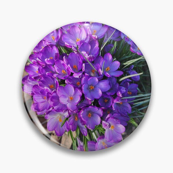 Item preview, Spring Purple Crocuses.  designed and sold by Dinasshop.