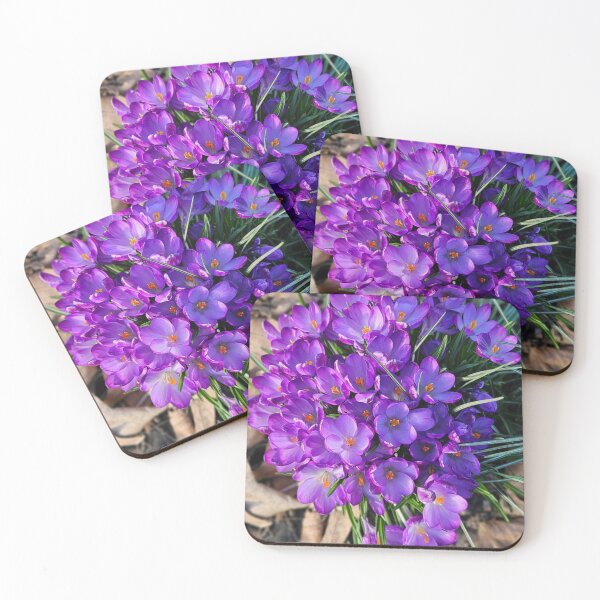 Item preview, Spring Purple Crocuses.  designed and sold by Dinasshop.
