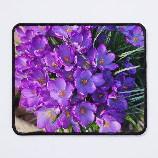 Item preview, Spring Purple Crocuses. designed and sold by Dinasshop.