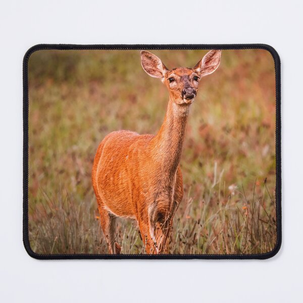 Item preview, Listening designed and sold by Jim Love.