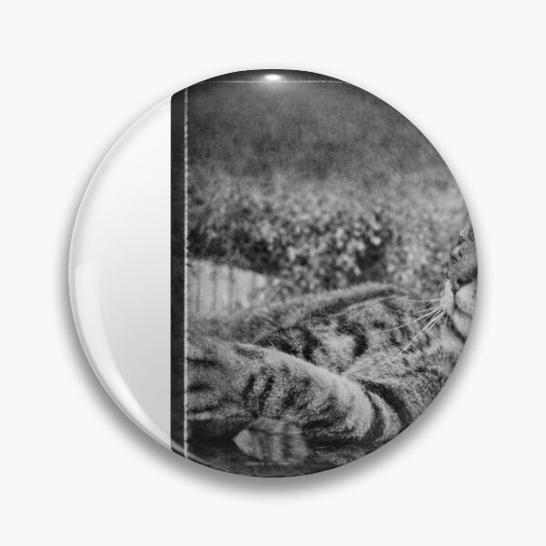 Item preview, Paws, Reflect and Relax designed and sold by R123XAW.
