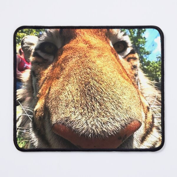Item preview, Tiger Happy Meal — Funny Animal Meme Poster designed and sold by Goodieesss.