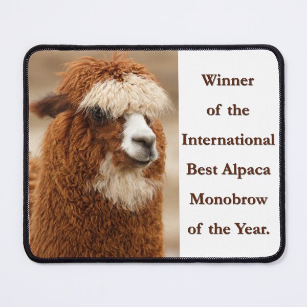 Item preview, Best Alpaca Monobrow designed and sold by MissTerryWoman.