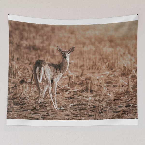 Item preview, Caught Red Handed designed and sold by Jim Love.