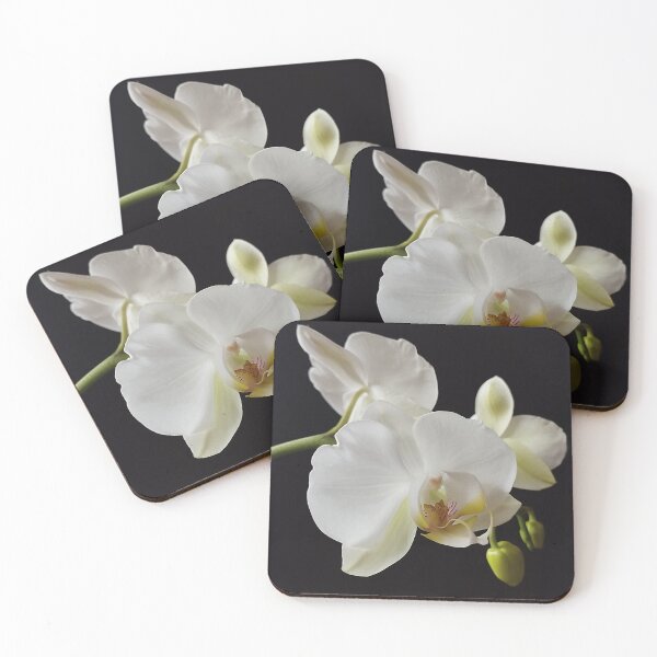 Item preview, White Orchids on Black Background designed and sold by Jasna Dragun.
