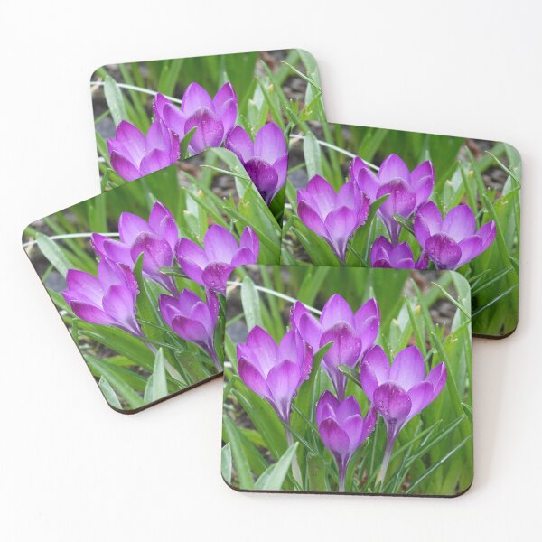 Item preview, Crocus designed and sold by Barrie Woodward.