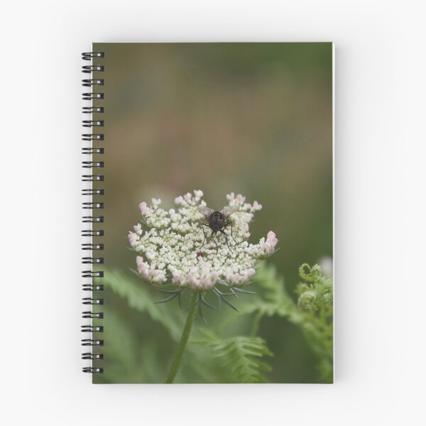 Item preview, The checkered fly designed and sold by Photo01naturel.