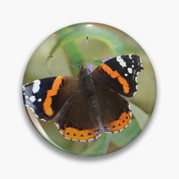 Item preview, Red Admiral designed and sold by Barrie Woodward.