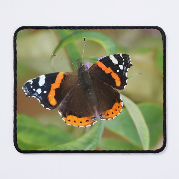 Item preview, Red Admiral designed and sold by Barrie Woodward.
