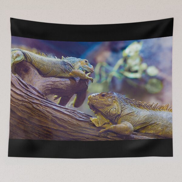 Item preview, Twin Iguanas on a Branch - Colorful Reptile Wildlife Photography designed and sold by AbulailArt.