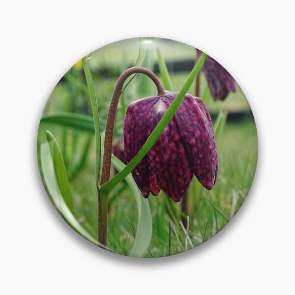 Item preview, Leper Lily designed and sold by Barrie Woodward.