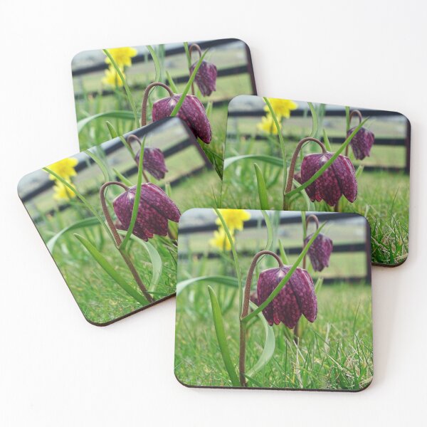 Item preview, Leper Lily designed and sold by Barrie Woodward.