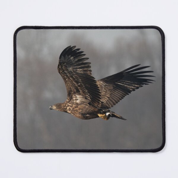 Item preview, Bird in flight designed and sold by ART-SUNRISE.