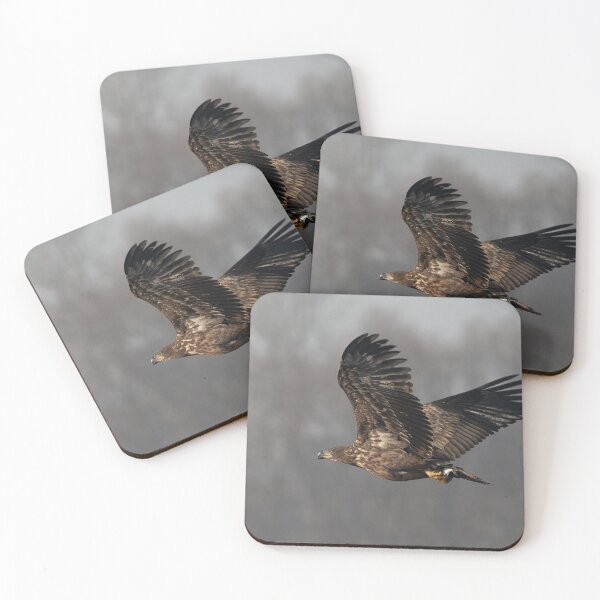 Item preview, Bird in flight designed and sold by ART-SUNRISE.
