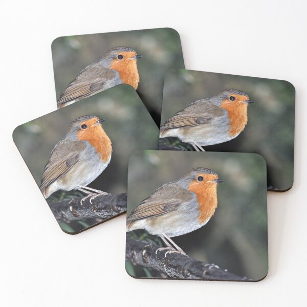 Item preview, Robin designed and sold by Tom McPherson Photography.
