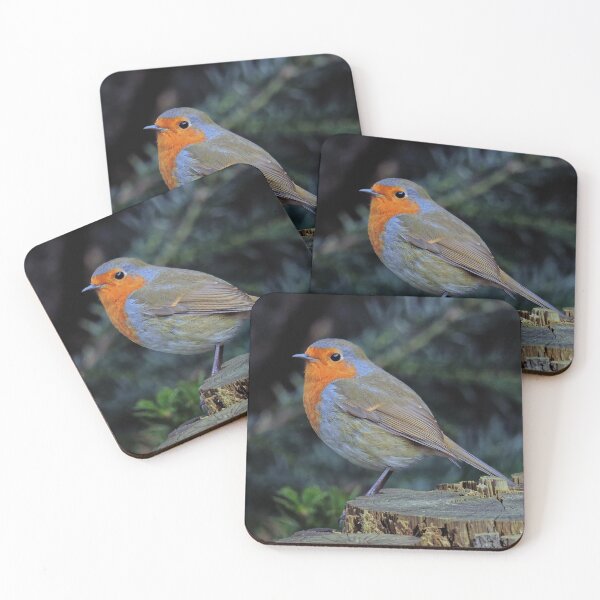 Item preview, The Robin designed and sold by Tom McPherson Photography.