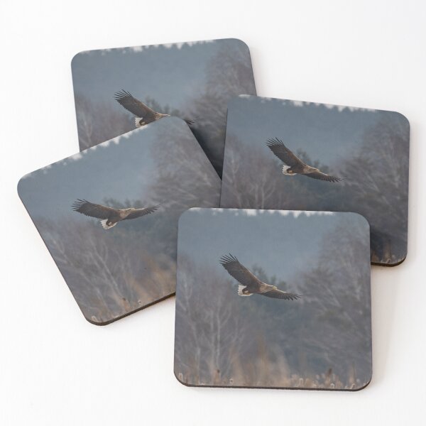 Item preview, Bird in flight designed and sold by ART-SUNRISE.