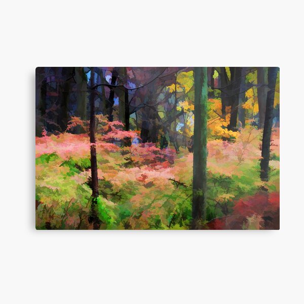 Connecticut - A View of the Woods in Fall Metal Print