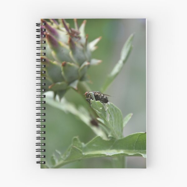 Item preview, Gray fly designed and sold by Photo01naturel.