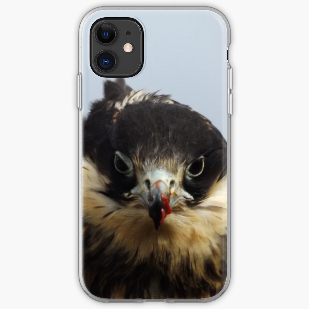 Juvenile Peregrine iPhone Case & Cover