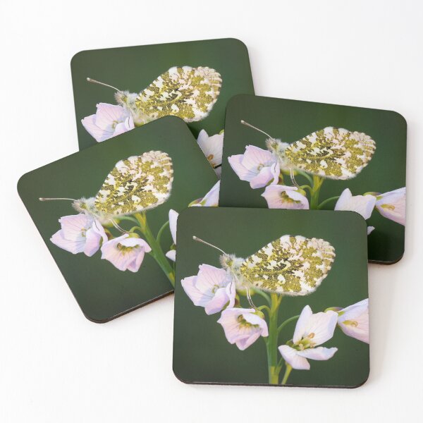 Item preview, Orange Tip Butterfly on Pink Flower designed and sold by Alec Stewart.