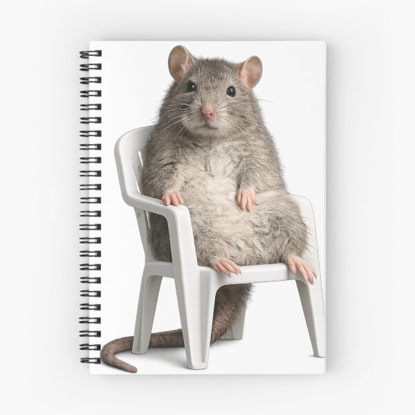 Item preview, Unhinged Rat Sitting In Tiny Chair Meme designed and sold by ArcanePrintsxo.