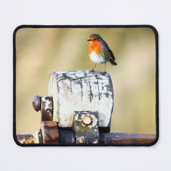 Item preview, Canalside Robin designed and sold by Murph's Images.