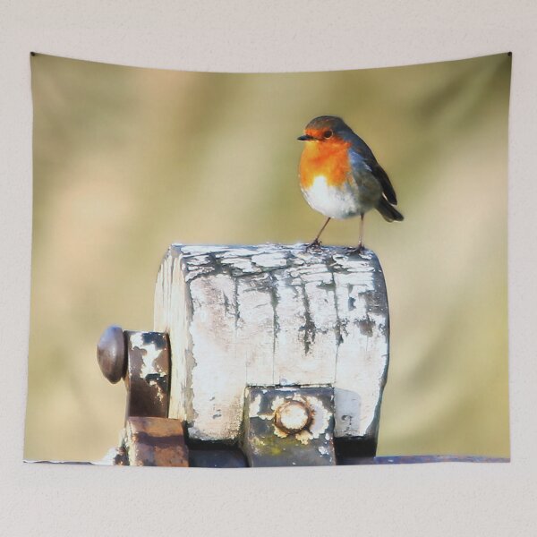 Item preview, Canalside Robin designed and sold by Murph's Images.